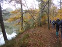 2018-11-08 10-30-09 Etangs de Hollande FGn