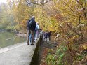 2018-11-08 10-31-27 Etangs de Hollande FGn