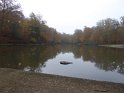 2018-11-08 10-32-00 Etangs de Hollande FGn