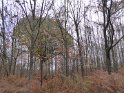 2018-11-08 10-55-45 Etangs de Hollande FGn