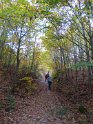2018-11-08 10-57-12 Etangs de Hollande FGn