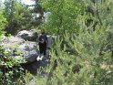2011-06-02 15-57-07 Rando Fontainebleau JRo