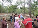 2012-10-11 11-37-56 Rando Fontainebleau-matin DLe
