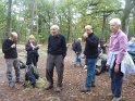 2012-10-11 11-39-39 Rando Fontainebleau- matin FGn