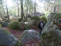 2012-10-11 16-47-47 Rando Fontainebleau-apres-midi FGn
