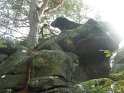 2012-10-11 17-04-33 Rando Fontainebleau-apres-midi FGn
