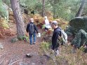 2012-10-11 17-26-44 Rando Fontainebleau-apres-midi FGn