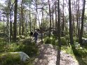 2015-05-07 10-08-30 Rando Fontainebleau FGn