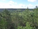2015-05-07 10-20-59 Rando Fontainebleau FGn