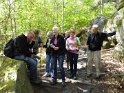 2015-05-07 10-36-49 Rando Fontainebleau FGn