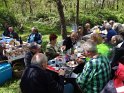 2015-05-07 13-59-49 Rando Fontainebleau-Pique-nique DLe