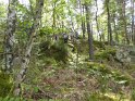 2015-05-07 15-37-47 Rando Fontainebleau FGn