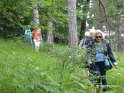 2018-05-24 10-37-40  Rando Fontainebleau FGn
