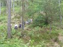 2018-05-24 10-49-38  Rando Fontainebleau FGn