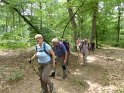 2018-05-24 11-32-52  Rando Fontainebleau FGn