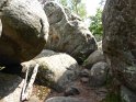 2018-05-24 14-48-35  Rando Fontainebleau FGn