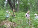 2018-05-24 15-16-17  Rando Fontainebleau FGn