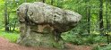 2025-06-05 12.12.24 Rando Fontainebleau FGn