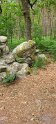 2025-06-05 14.31.33 Rando Fontainebleau FGn
