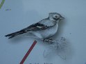 2008-02-07 15-50-26 Gif sur Yvette