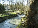 2008-02-07 16-12-41 Gif sur Yvette