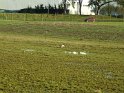 2008-02-07 17-04-55 Gif sur Yvette