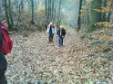 2010-11-18 11-43-48 Rando Jouy
