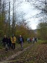 2011-11-17 15-19-48 Rando Bievres FGn