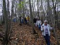 2011-11-17 16-19-11 Rando Bievres DLe