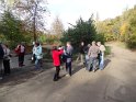 2014-10-30 10-33-05 Rando Jouy en Josas