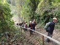 2014-10-30 12-06-57 Rando Jouy en Josas