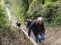2014-10-30 12-07-22 Rando Jouy en Josas