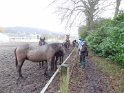 2017-12-14 15-04-10 Rando Jouy DLe