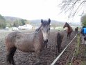 2017-12-14 15-04-16 Rando Jouy DLe