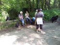 2013-06-06 11-12-21 Rando Milon JFi