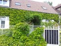 2013-06-06 15-24-44 Rando Milon JFi