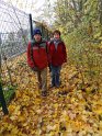 2012-11-15 11-11-54 Etangs de la Miniere-Le matin DLe