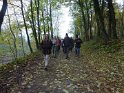 2012-11-15 11-16-50 Etangs de la Miniere-Le matin YLe