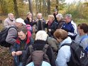 2012-11-15 11-44-55 Etangs de la Miniere-Les crepes YLe