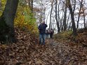 2012-11-15 12-10-17 Etangs de la Miniere-Le matin YLe