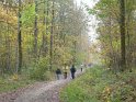 2012-11-15 12-35-33 Etangs de la Miniere-Le matin YLe