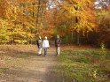 2012-11-15 15-02-23 Etangs de la Miniere-L'apres-midi YLe