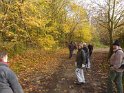 2012-11-15 15-09-13 Etangs de la Miniere-L'apres-midi YLe