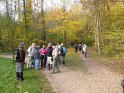 2012-11-15 15-26-35 Etangs de la Miniere-L'apres-midi YLe