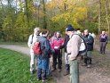 2012-11-15 15-27-09 Etangs de la Miniere-L'apres-midi YLe