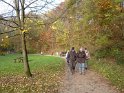 2012-11-15 15-28-04 Etangs de la Miniere-L'apres-midi YLe