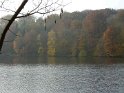2012-11-15 15-32-19 Etangs de la Miniere-L'apres-midi YLe