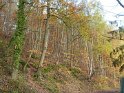 2012-11-15 15-39-44 Etangs de la Miniere-L'apres-midi YLe