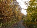 2012-11-15 15-41-45 Etangs de la Miniere-L'apres-midi YLe