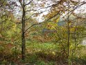 2012-11-15 15-46-07 Etangs de la Miniere-L'apres-midi YLe